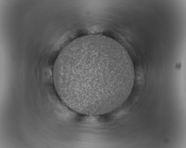 X0000112510523200908311336