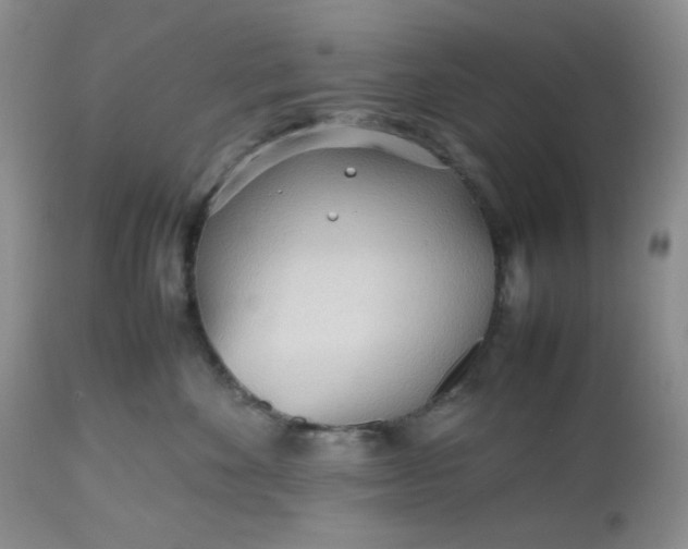 X0000112510524200908311335