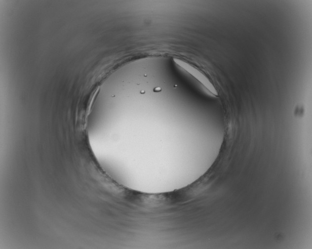 X0000112510525200908311335