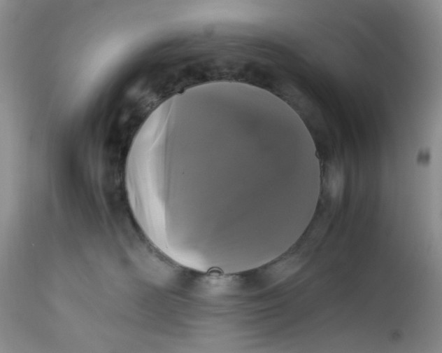 X0000112510526200908311335