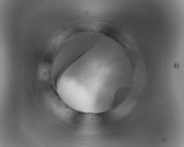 X0000112510528200908311335