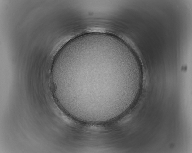 X0000112510529200908311335