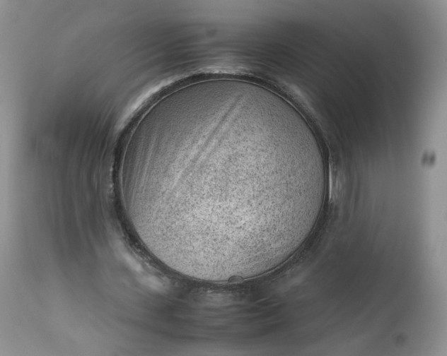 X0000112510531200908311335