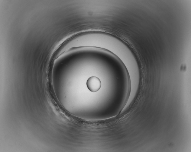 X0000112510532200908311335