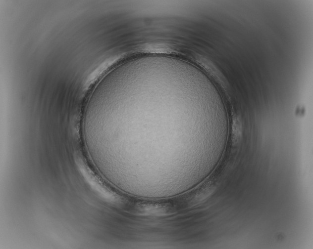 X0000112510533200908311335