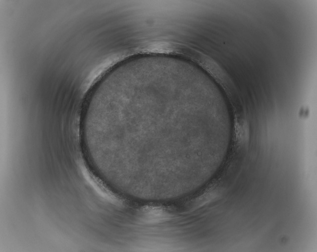 X0000112510534200908311335