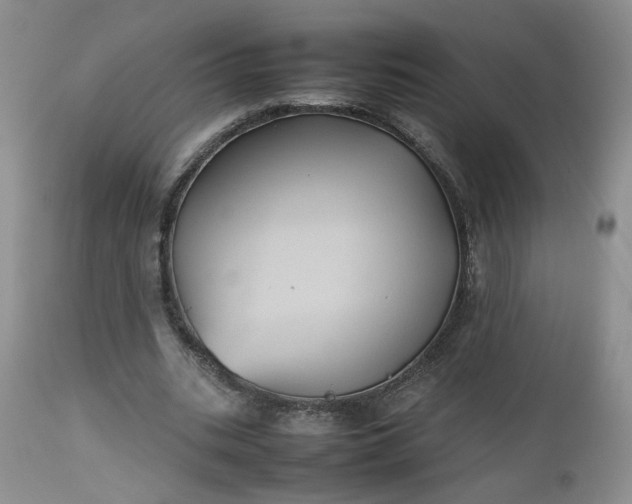 X0000112510535200908311335