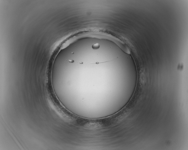 X0000112510536200908311335