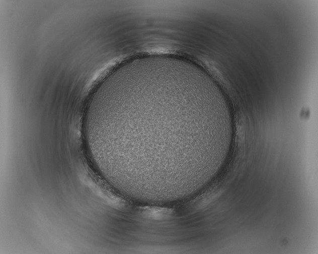 X0000112510539200908311335