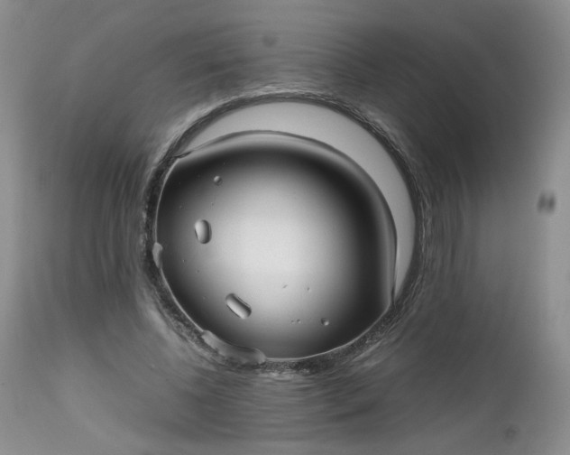 X0000112510540200908311335