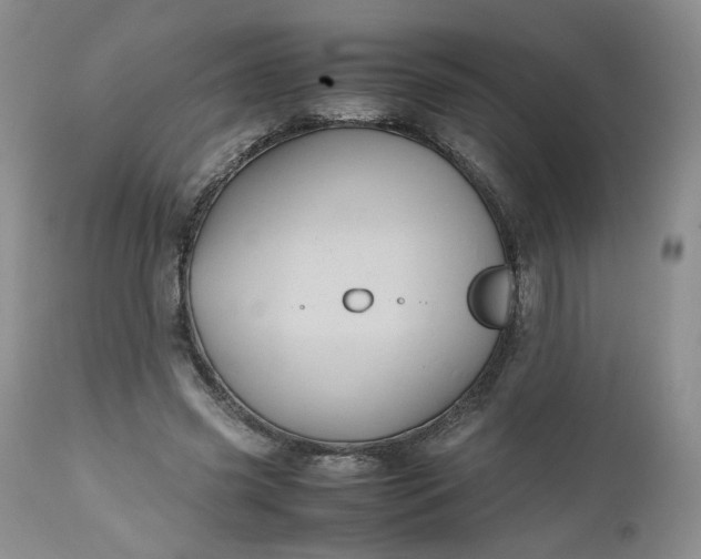 X0000112510541200908311335