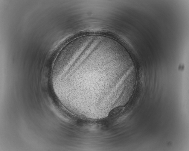 X0000112510542200908311335