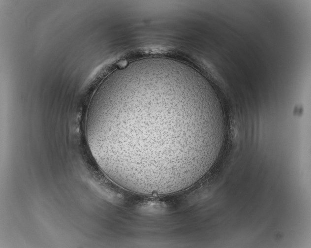 X0000112510543200908311335