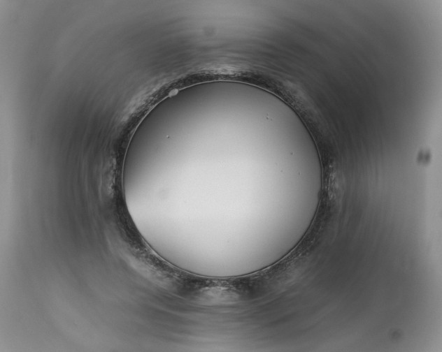 X0000112510544200908311335