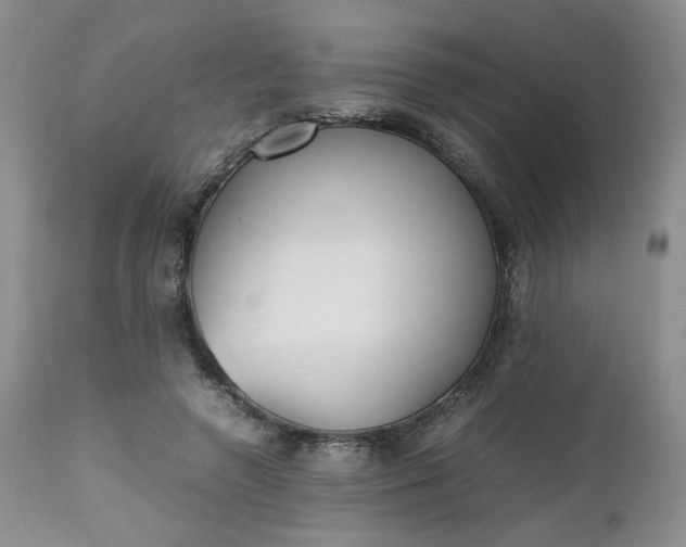 X0000112510546200908311335