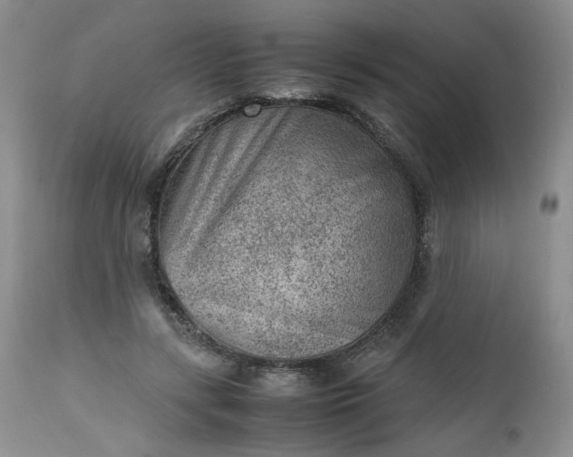 X0000112510547200908311335