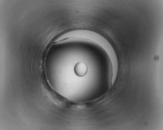 X0000112510548200908311335