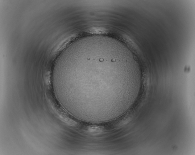 X0000112510549200908311335