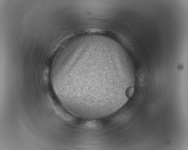 X0000112510550200908311335