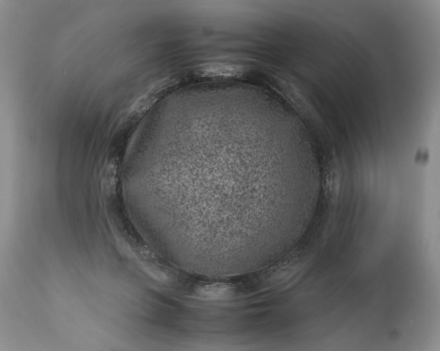 X0000112510551200908311335