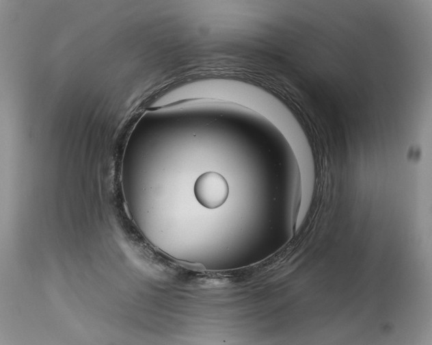 X0000112510552200908311335