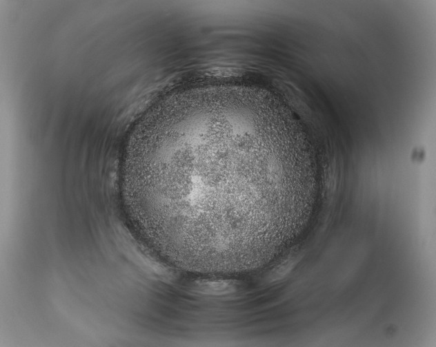 X0000112510553200908311335