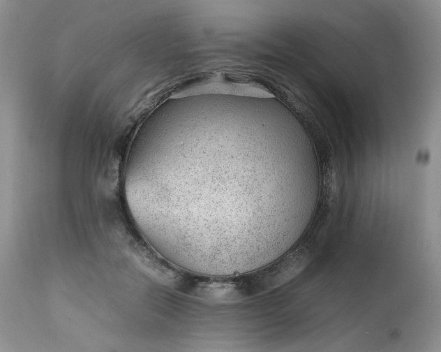 X0000112510554200908311335