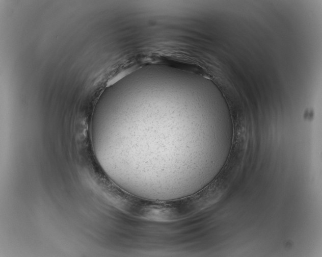 X0000112510555200908311335