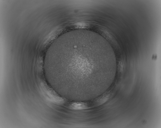 X0000112510557200908311335