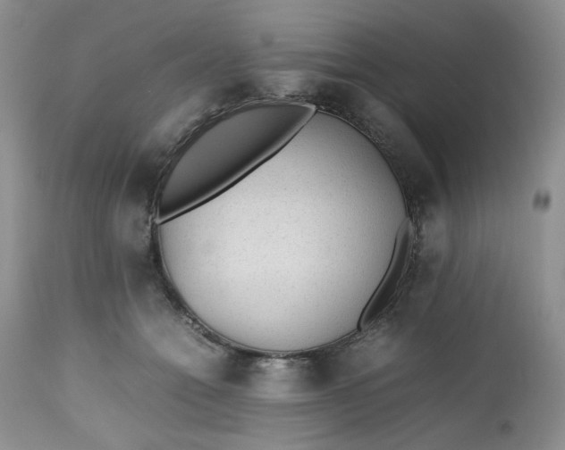 X0000112510558200908311335