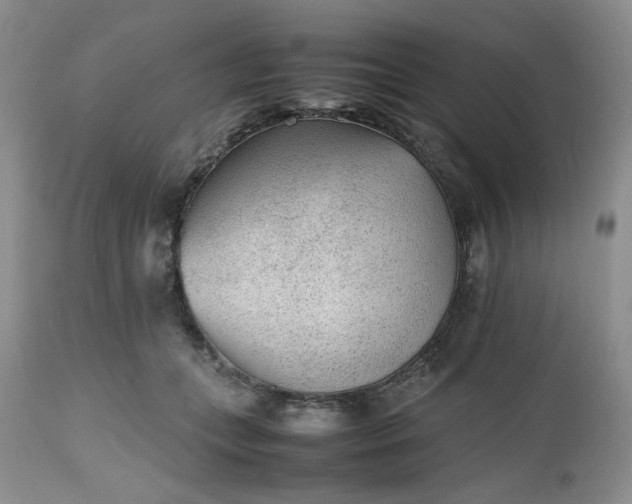 X0000112510559200908311335