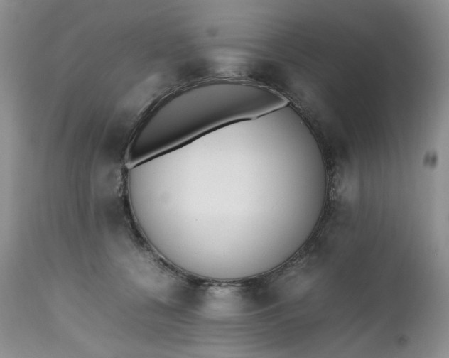 X0000112510560200908311335