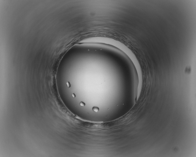 X0000112510562200908311335