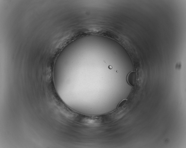 X0000112510563200908311335