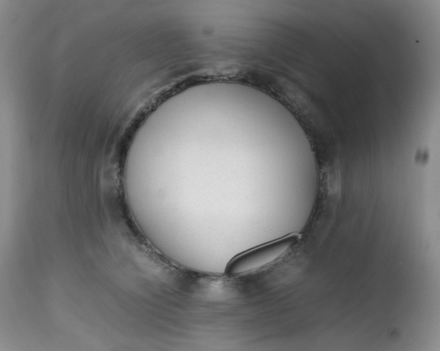 X0000112510564200908311335