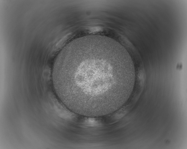 X0000112510565200908311335