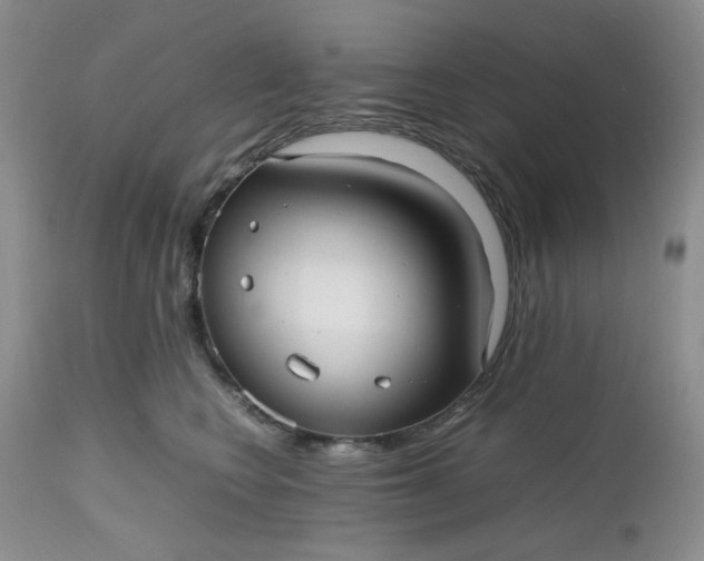 X0000112510566200908311335