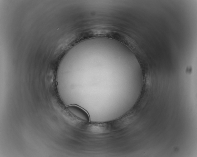 X0000112510567200908311335