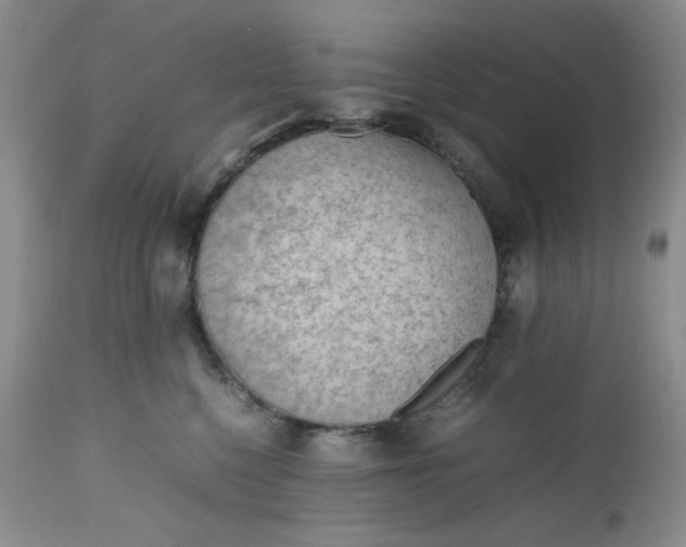 X0000112510568200908311335