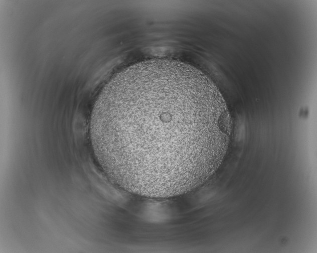 X0000112510569200908311335