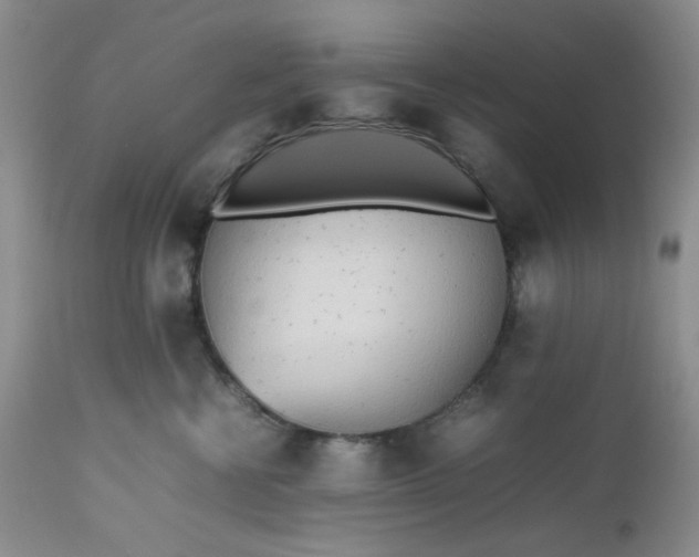 X0000112510570200908311335