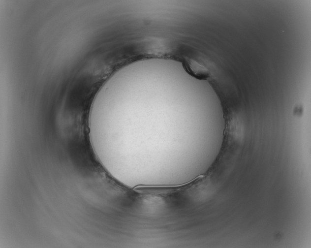 X0000112510572200908311335