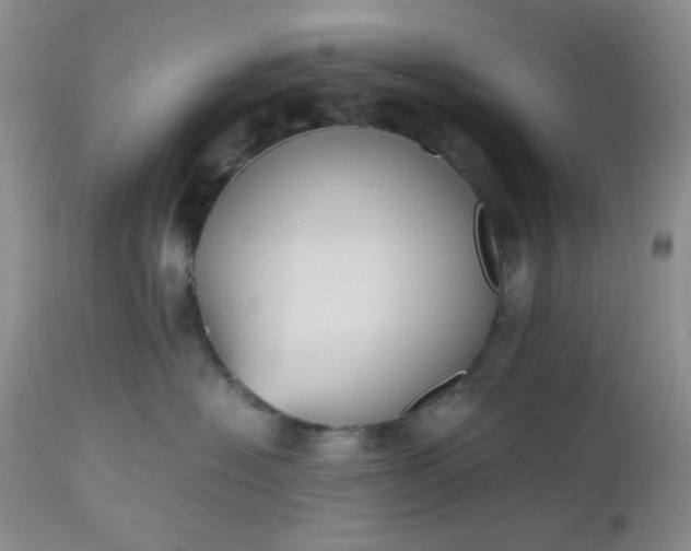 X0000112510574200908311335