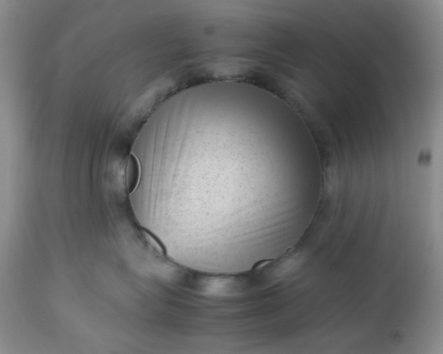 X0000112510575200908311335