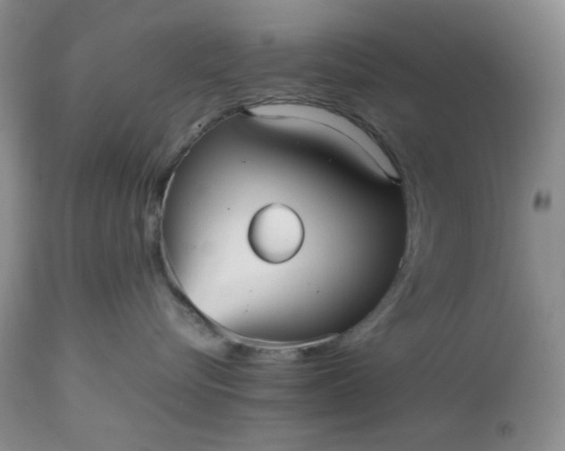 X0000112510576200908311335