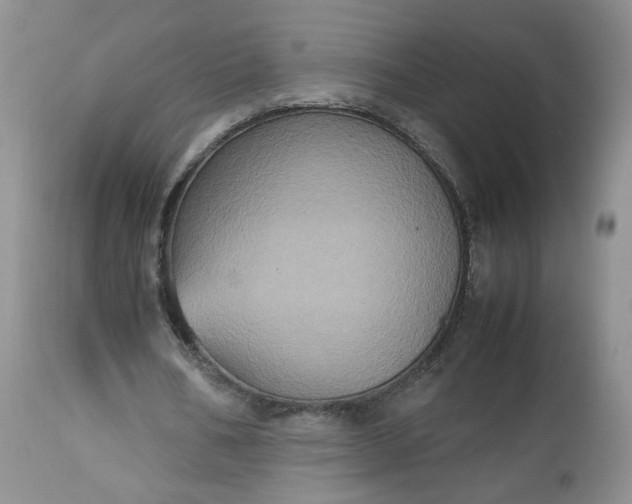 X0000112510578200908311335