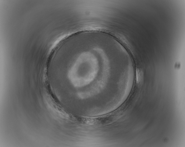 X0000112510579200908311335