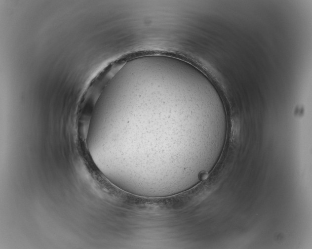 X0000112510580200908311335