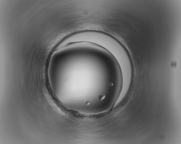 X0000112510581200908311335