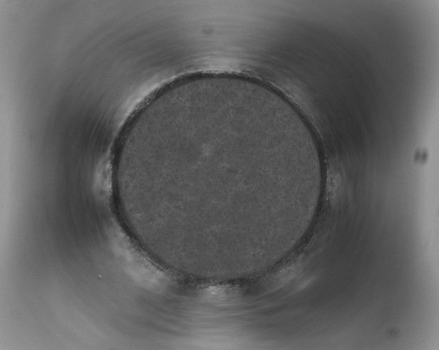 X0000112510584200908311335